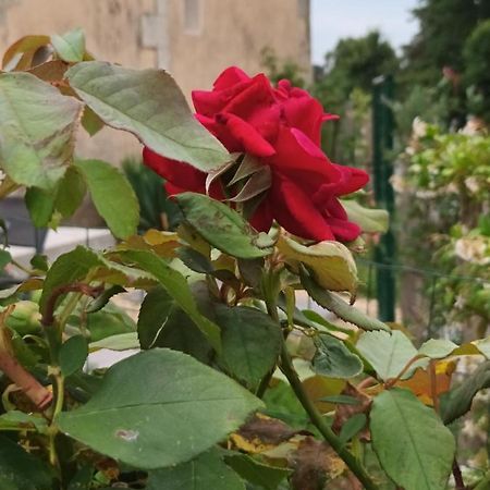 Gite Aux Vieux Bois Lunas  Kültér fotó