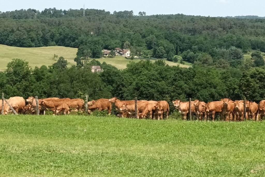 Gite Aux Vieux Bois Lunas  Kültér fotó