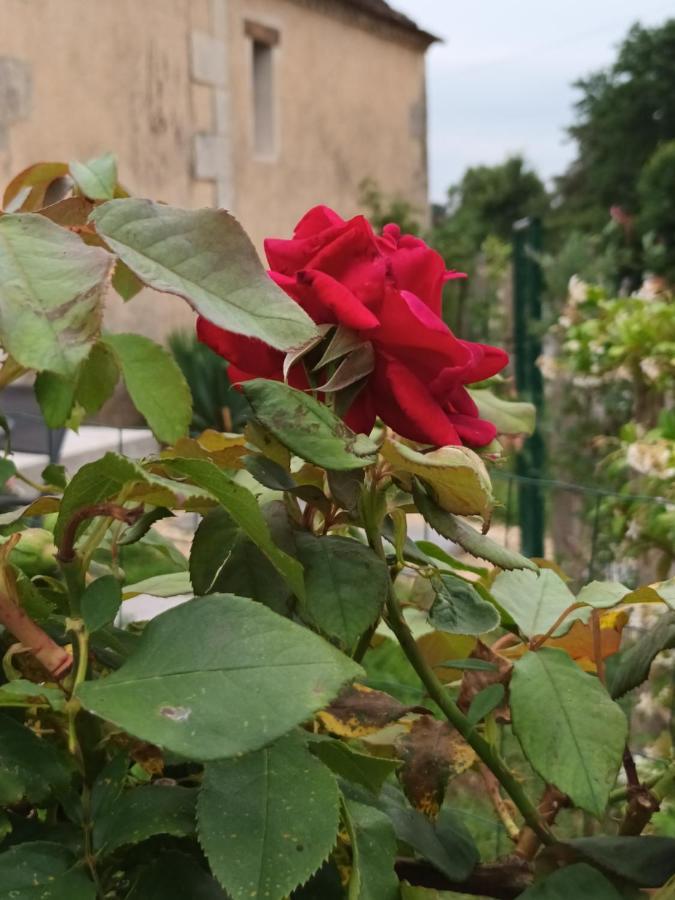 Gite Aux Vieux Bois Lunas  Kültér fotó